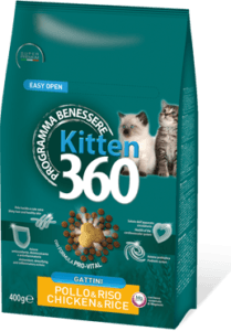 Forma 360: Kitten