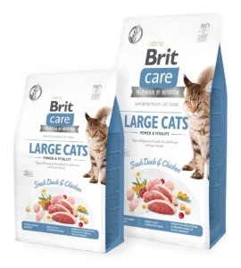 Brit Care: Large Cats Power and Vitality