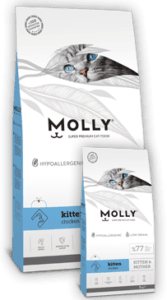Molly: Kitten