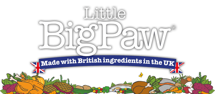 Little_Big_Paw_Logo