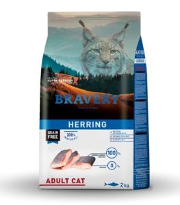 Bravery: Herring Adult Cat