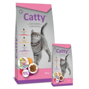 Catty: Adult Chicken