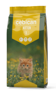 Cebican: 30/12 Cebican Kitten