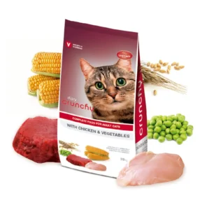 Crunchy: Crunchy Cat