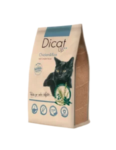 Dicat Up: Adult Chicken and Rice