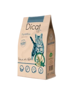 Dicat Up: Adult Fish and Rice