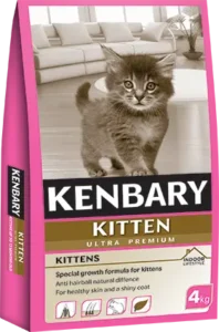 Kenbary: Kitten