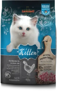 Leonardo: Kitten