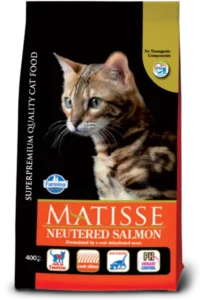 Matisse: Neutered Salmon