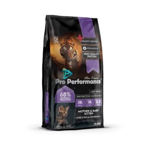 Pro Performance: Kitten Lamb & Rice
