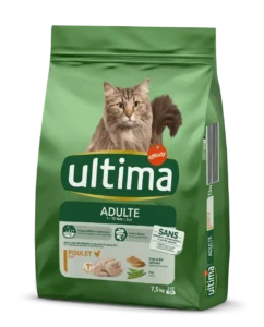 Ultima: Adult with Chicken