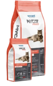 Vincent: Mycat Adult with Chicken