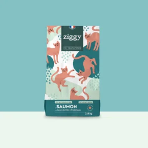 Ziggy: Croquettes Chat Stérilisé Sans Céréales Saumon (Grain-Free, Sterilized Cat, Salmon)